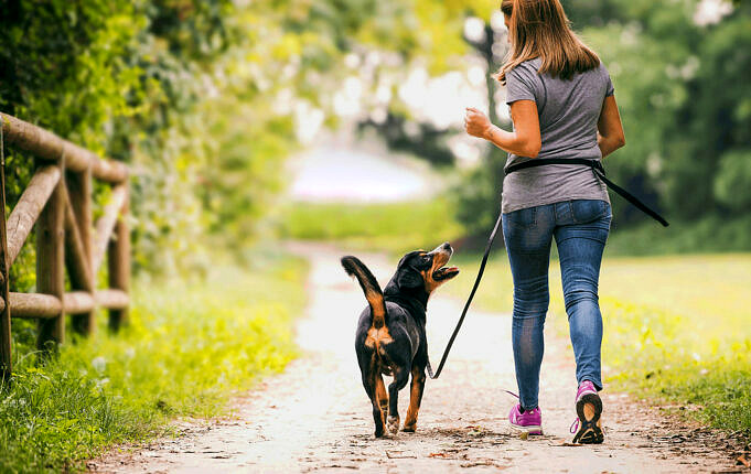 Rover Contro Wag. Quale App Dog Walking e La Migliore Nel 2021